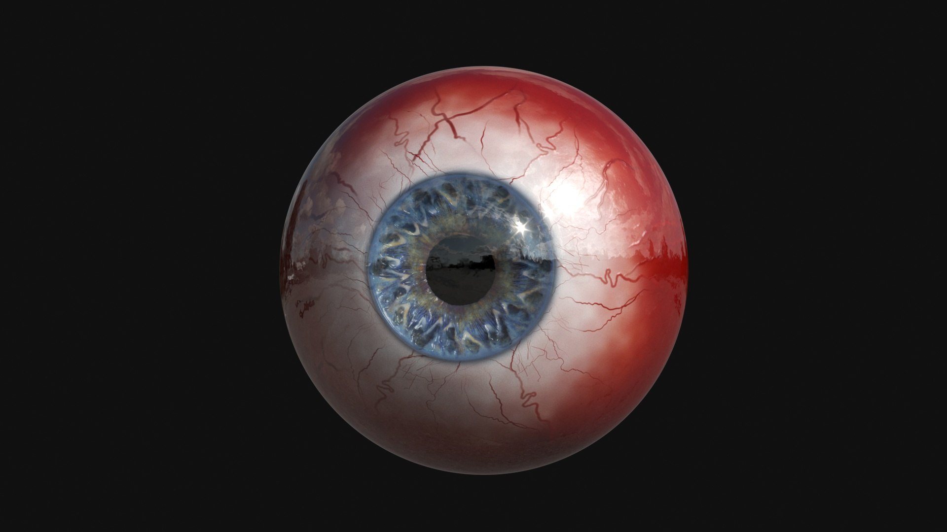 Human Eye 3D Model - TurboSquid 1638100