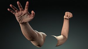 Realistic Hands left and right hand with 5 LODs Low-poly 3D model 3D model