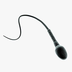 Human Sperm Cell Microscope