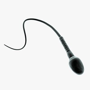 Human Sperm Cell Microscope