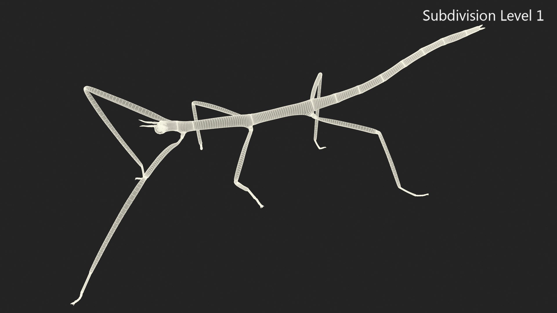 3D phasmatodea stick insect walking https://p.turbosquid.com/ts-thumb/ql/x1I5Tl/G3eWNsUx/phasmatodeastickinsectwalkingc4dmodel014/jpg/1573077632/1920x1080/fit_q87/4d8d7ca502c774e61628d458562f0e79172673b3/phasmatodeastickinsectwalkingc4dmodel014.jpg