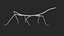 Phasmatodea Stick Insect Walking