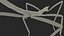 Phasmatodea Stick Insect Walking