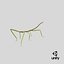 Phasmatodea Stick Insect Walking