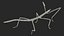 Phasmatodea Stick Insect Walking