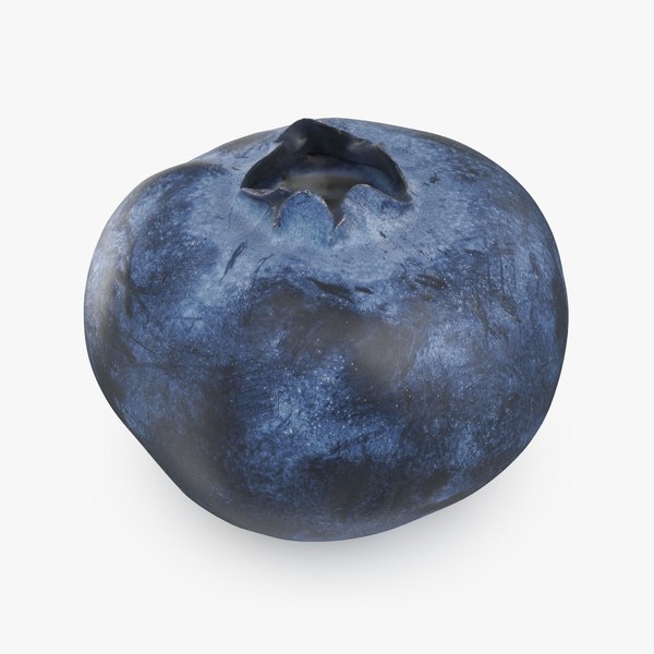Blueberry 03 3D