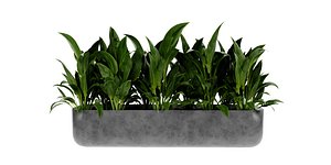 3D Collection plant vol 449 - blender model