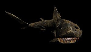 fossils shark obj free