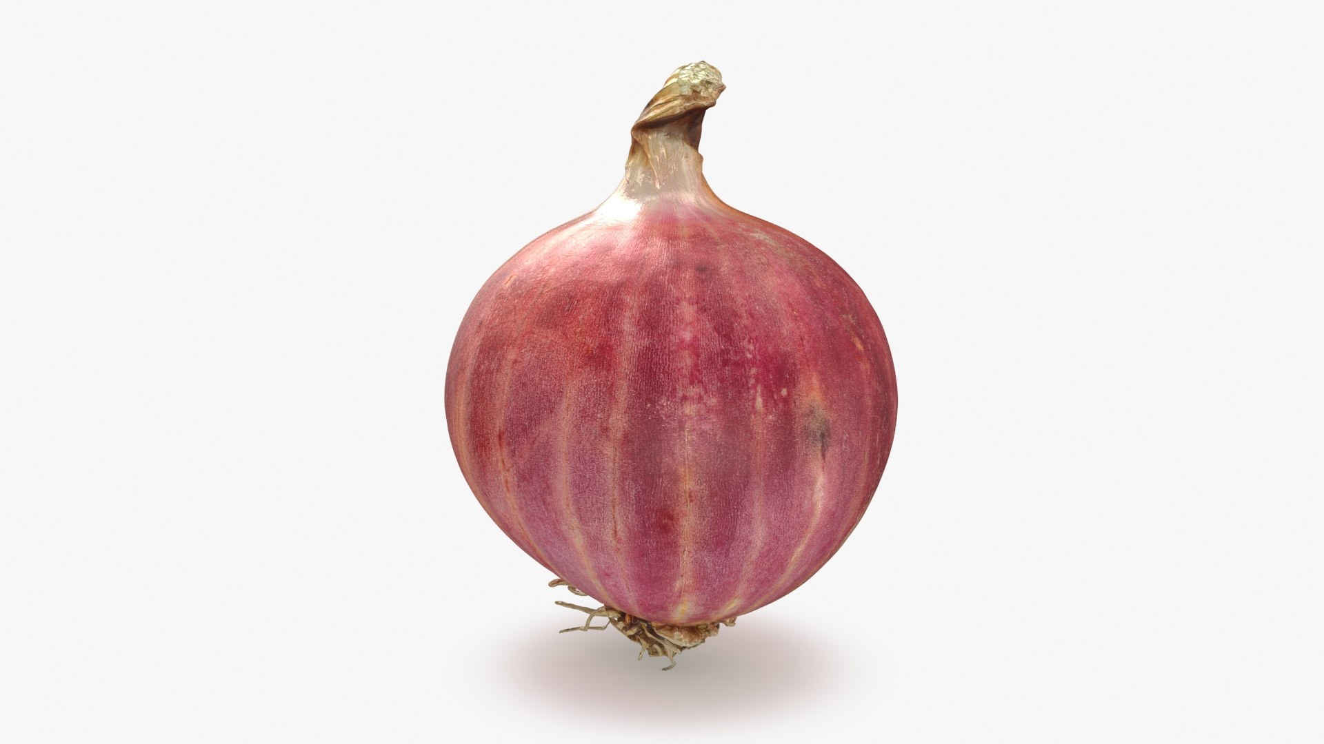 Root Vegetables Collection 3 3D https://p.turbosquid.com/ts-thumb/qm/QyLtwn/g7/shallot_02_a0001/jpg/1788640786/1920x1080/fit_q87/3e33e56481479236c7f6d28a4ae7382310178aed/shallot_02_a0001.jpg