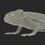 3d model bearded dragon pose 3
