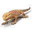 3d model bearded dragon pose 3