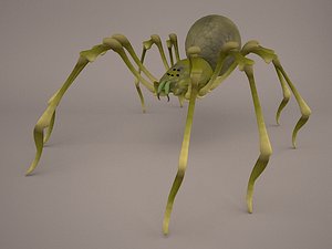 3D Lycosa Tarantula