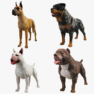 Dogs Collections Ornatrix 3D model
