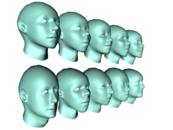10 female mesh heads 3d model