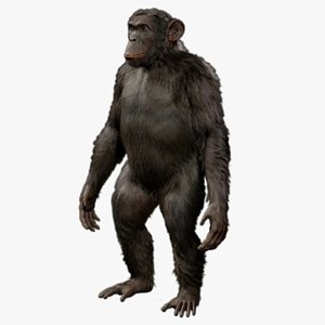 3D Chimp Rig UNREAL project