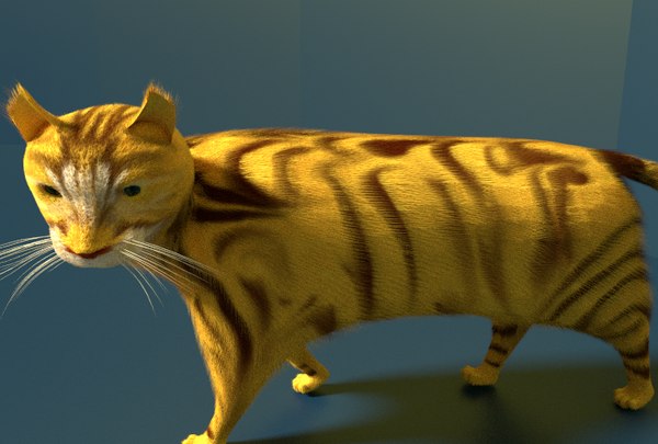 3d cat model