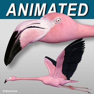 Flamingo Pink - Flight