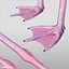 3d realistic flying pink flamingo model