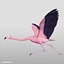 3d realistic flying pink flamingo model