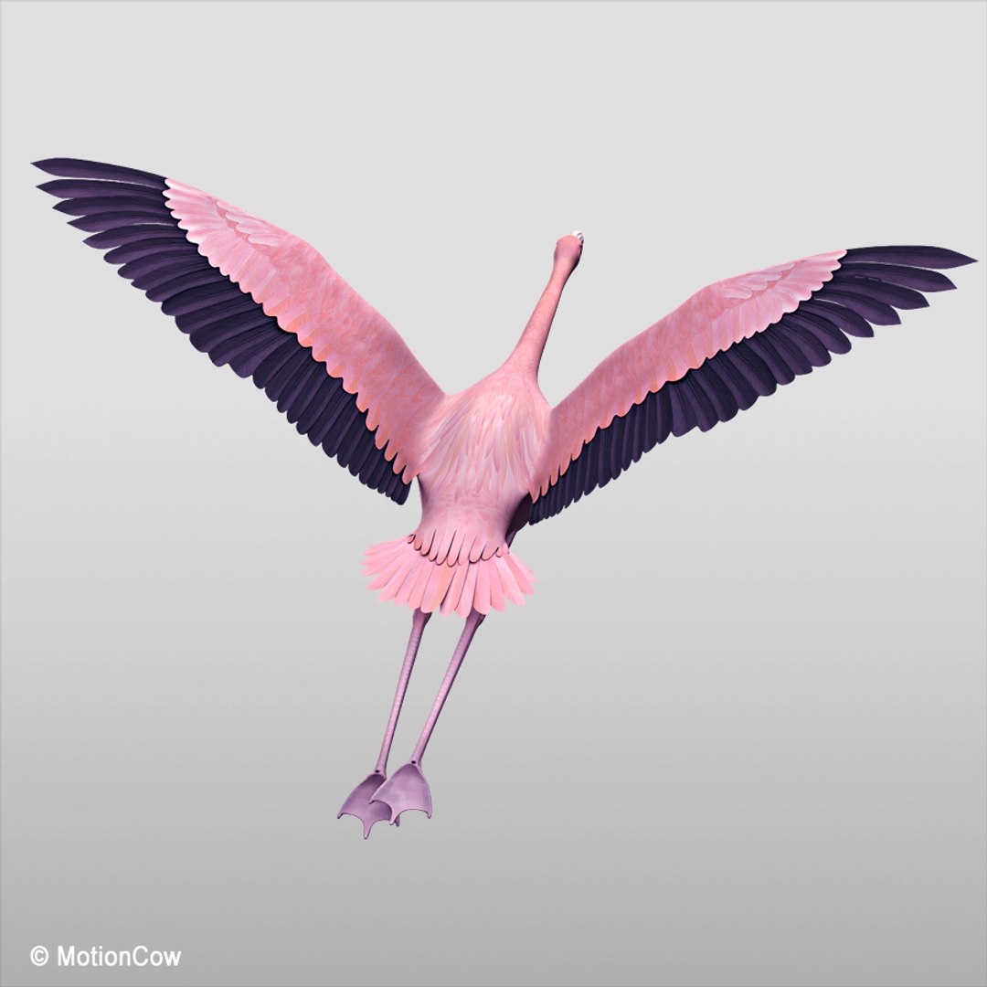 3d realistic flying pink flamingo model https://p.turbosquid.com/ts-thumb/qm/hMKkqY/rNDyN49Z/flamingo_pinkg/jpg/1312451746/1920x1080/fit_q87/07667443d48f1d33f56f8bdb8cd5572bdc11d361/flamingo_pinkg.jpg