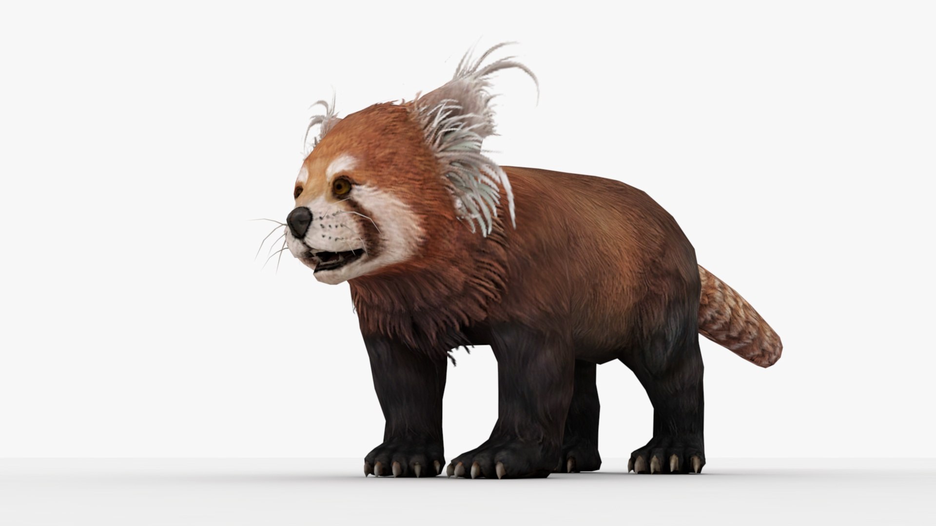Red panda 3D model - TurboSquid 1839492