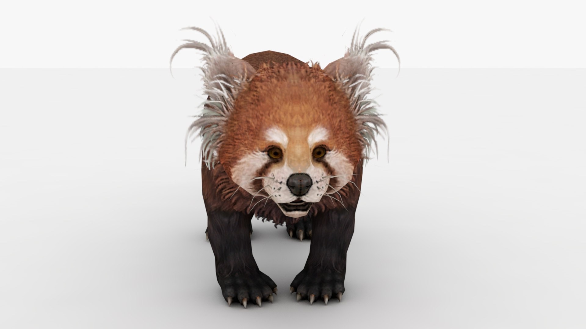 Red panda 3D model - TurboSquid 1839492