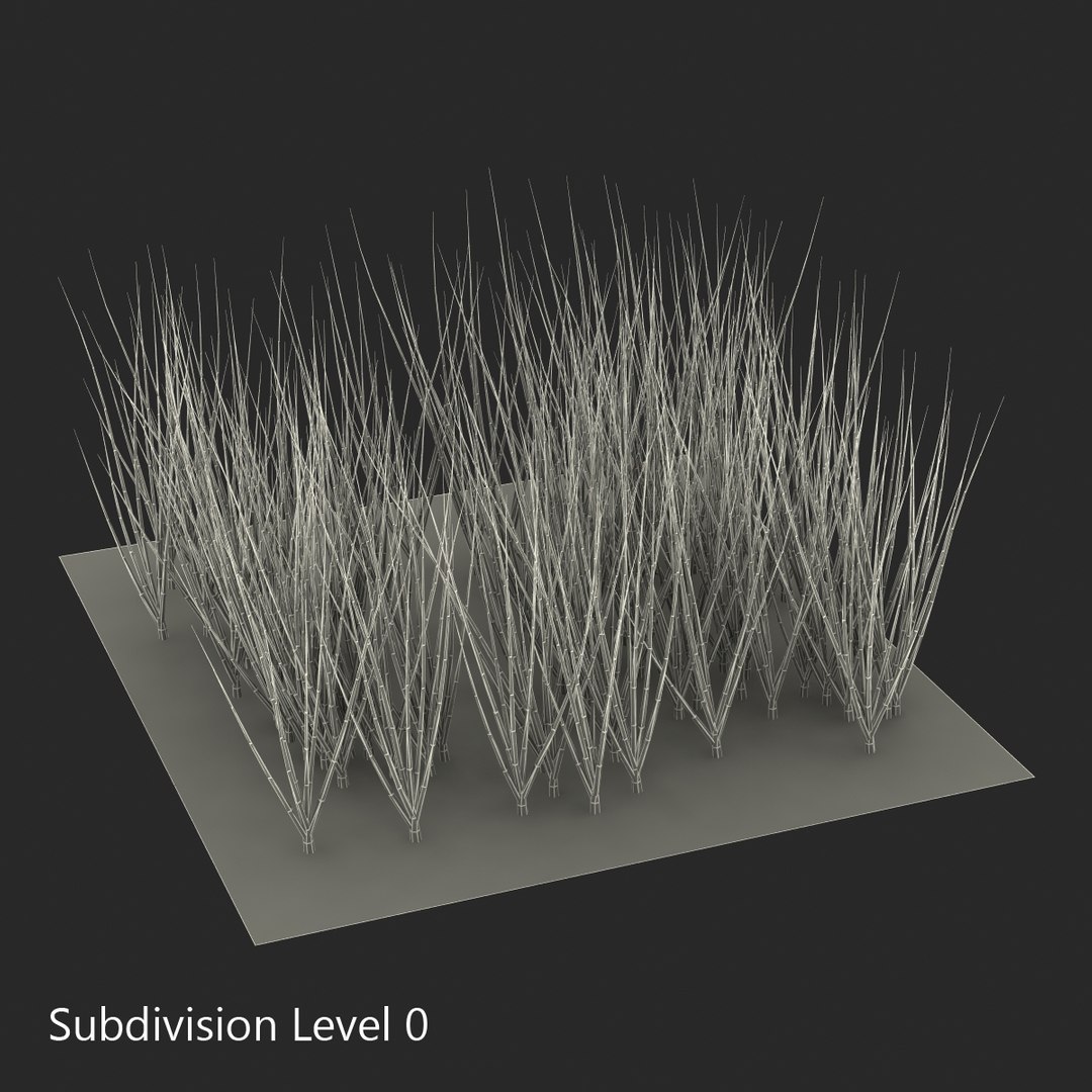 3d young onion plants garden model https://p.turbosquid.com/ts-thumb/qm/uvL0Rr/J9gm15pv/youngonionplantsinthegarden3dmodel10/jpg/1459629862/1920x1080/fit_q87/5c30019e3ca30ffccf14abd1f1c07906c181e4da/youngonionplantsinthegarden3dmodel10.jpg