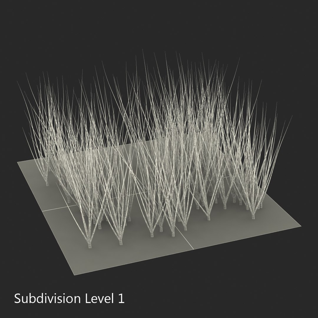 3d young onion plants garden model https://p.turbosquid.com/ts-thumb/qm/uvL0Rr/MjgTUO1H/youngonionplantsinthegarden3dmodel11/jpg/1459629862/1920x1080/fit_q87/cbeb719140887c8c8db87fe370bdde31f03c8795/youngonionplantsinthegarden3dmodel11.jpg