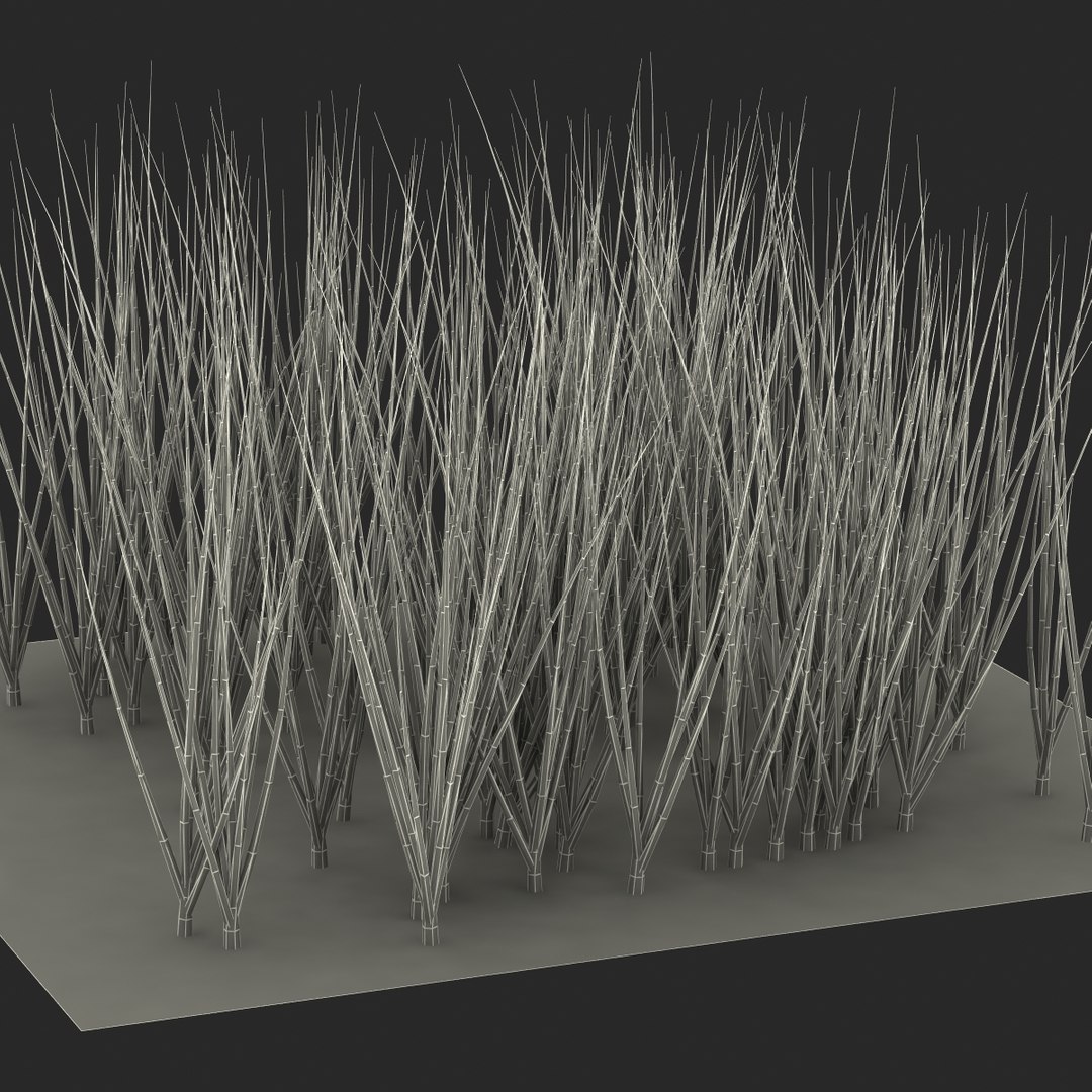 3d young onion plants garden model https://p.turbosquid.com/ts-thumb/qm/uvL0Rr/SWNMeTZk/youngonionplantsinthegarden3dmodel17/jpg/1459629862/1920x1080/fit_q87/b58c08e124c7b59635731fb173e12e66c5df33ac/youngonionplantsinthegarden3dmodel17.jpg