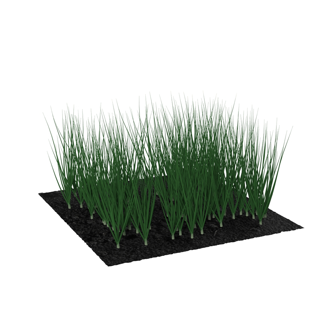 3d young onion plants garden model https://p.turbosquid.com/ts-thumb/qm/uvL0Rr/dxUAhQEF/young_onion_plants_in_the_garden_360/jpg/1459630066/1920x1080/turn_fit_q99/51e4d693b9bb9d5ab184c99a85b5e36f458be306/young_onion_plants_in_the_garden_360-1.jpg