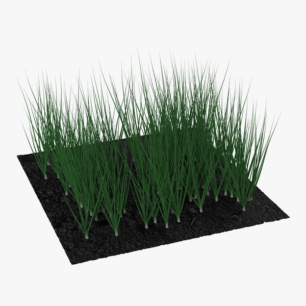 3d young onion plants garden model