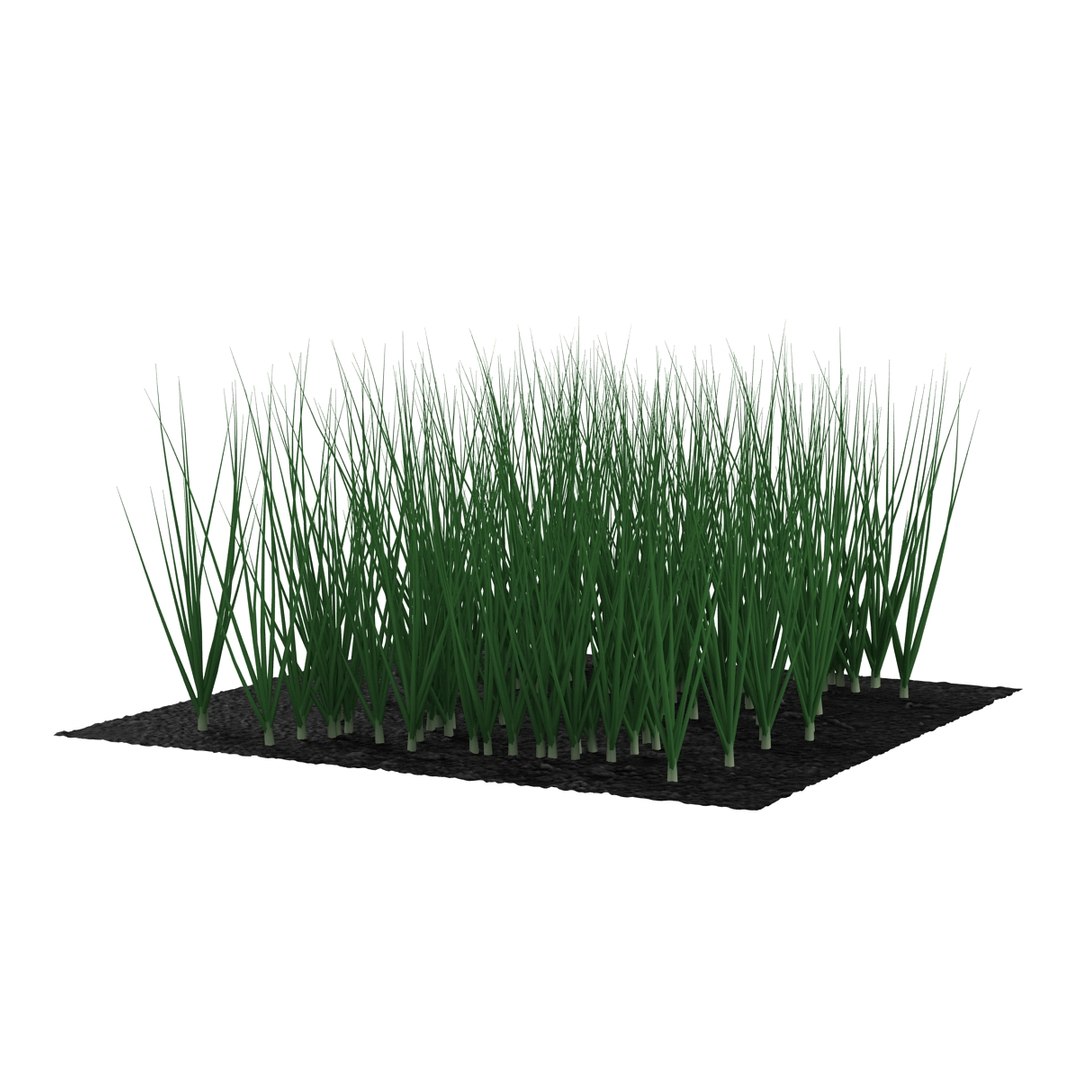 3d young onion plants garden model https://p.turbosquid.com/ts-thumb/qm/uvL0Rr/pMfPFTdU/youngonionplantsinthegarden3dmodel04/jpg/1459629861/1920x1080/fit_q87/0c9c2f3820412c48ea13a97fad5c6f3646250ec0/youngonionplantsinthegarden3dmodel04.jpg