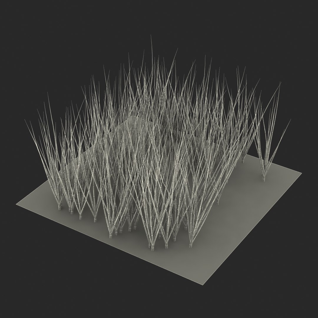 3d young onion plants garden model https://p.turbosquid.com/ts-thumb/qm/uvL0Rr/qfJcMTvC/youngonionplantsinthegarden3dmodel16/jpg/1459629862/1920x1080/fit_q87/145d50f65ff4f09247ba0180e725f8834dd68754/youngonionplantsinthegarden3dmodel16.jpg