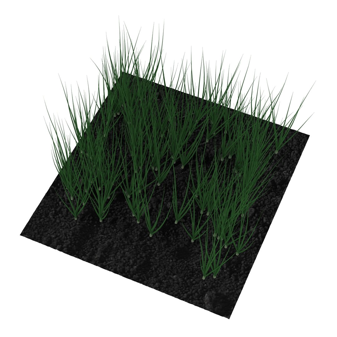 3d young onion plants garden model https://p.turbosquid.com/ts-thumb/qm/uvL0Rr/uJm3VdBX/youngonionplantsinthegarden3dmodel03/jpg/1459629861/1920x1080/fit_q87/a151f6a0cb6b3cf7de85bdf1bdd2f4b933f29510/youngonionplantsinthegarden3dmodel03.jpg