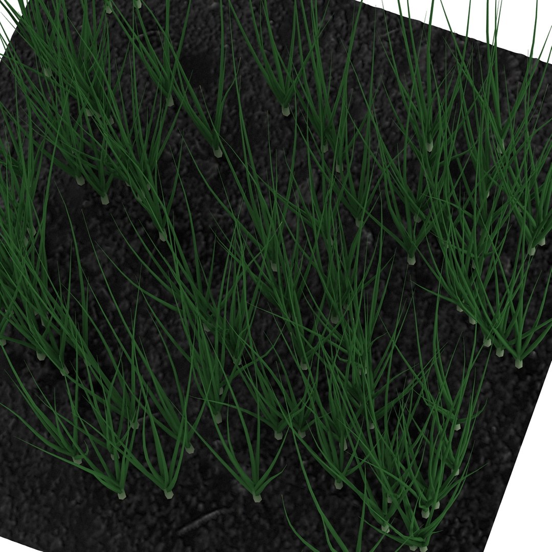 3d young onion plants garden model https://p.turbosquid.com/ts-thumb/qm/uvL0Rr/udrdhzqE/youngonionplantsinthegarden3dmodel08/jpg/1459629862/1920x1080/fit_q87/829f52ebd741ce25cf6d4e11a401f76ac6231d1f/youngonionplantsinthegarden3dmodel08.jpg