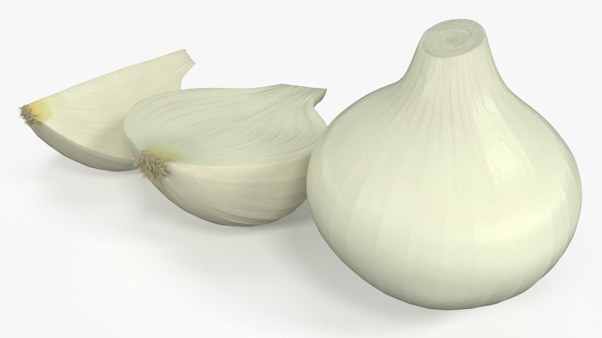 White Onions Fur 3D model preview