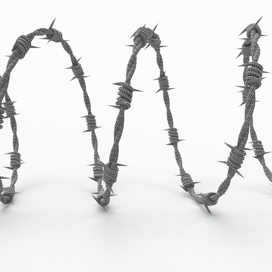 barbwire barb wire 3d model