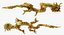 Golden Chinese Dragon Zodiac Sign