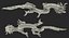 Golden Chinese Dragon Zodiac Sign