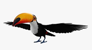 toucan feathers arnold 3d model