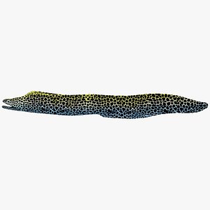 tesselata moray eel 3d max