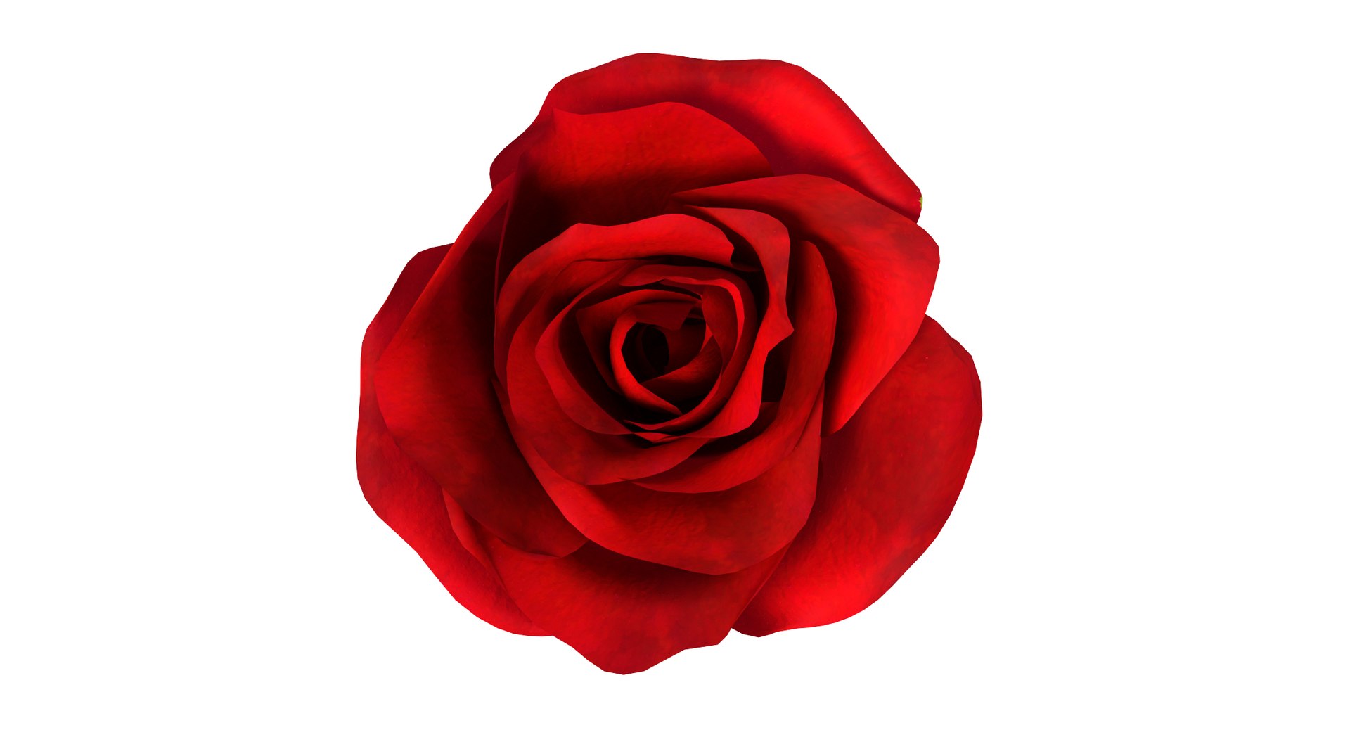 rose 3d model https://p.turbosquid.com/ts-thumb/qn/Q3Hxq1/4nDsQ3tC/thumbnail4/png/1424396850/1920x1080/fit_q87/00c8b93ef87f67fb037708e365361aacaab7ec68/thumbnail4.jpg