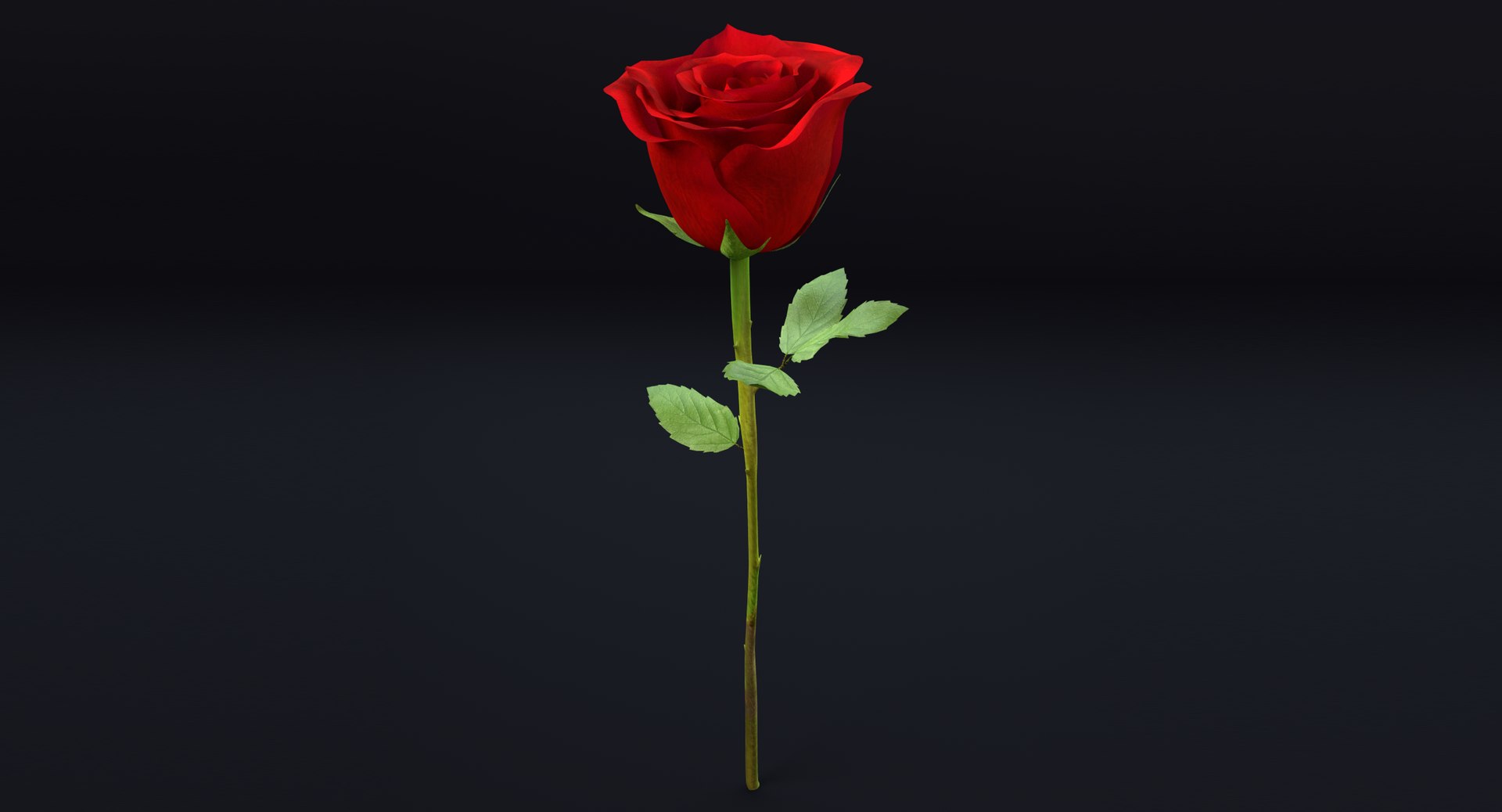 rose 3d model https://p.turbosquid.com/ts-thumb/qn/Q3Hxq1/OlfriHIs/thumbnail5/png/1424396850/1920x1080/fit_q87/0cf599cec580563d93d1277c97196808e2e239f3/thumbnail5.jpg