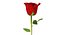 Rose 2