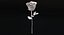 Rose 2