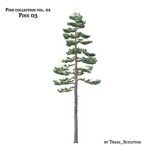 3ds max pine-tree tree