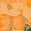 Citrouille d'halloween heureux 1