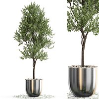 Plants collection 676