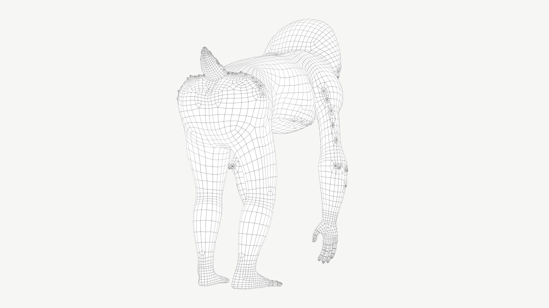 Mandrill model https://p.turbosquid.com/ts-thumb/qn/YjT1tw/C2/3a/jpg/1708073854/1920x1080/fit_q87/0f3bc66046d6ff231f6b7a42e0db5ca1495fcca9/3a.jpg