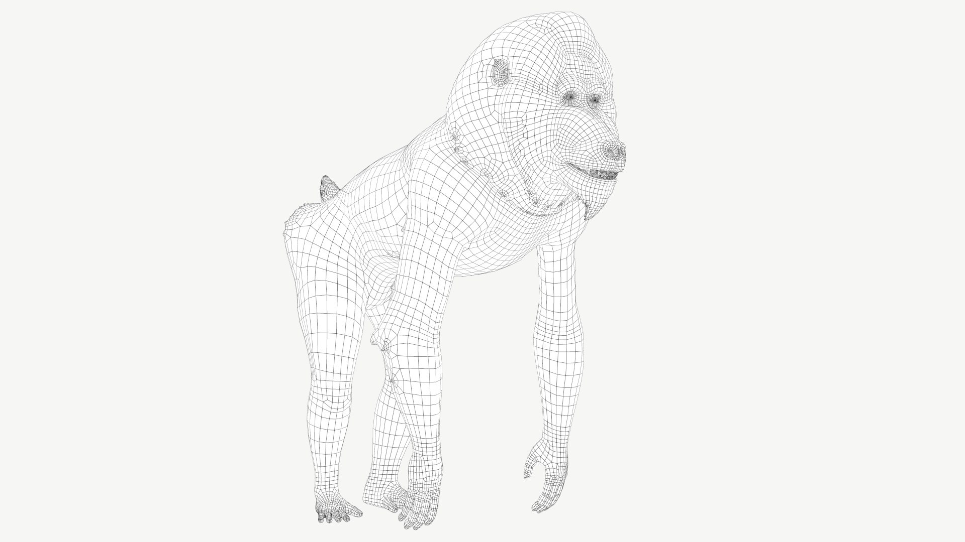 Mandrill model https://p.turbosquid.com/ts-thumb/qn/YjT1tw/Em/1a/jpg/1708073852/1920x1080/fit_q87/9f1fda81710a9f02c927613b022e0a49fbaca0c3/1a.jpg